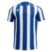 Blue and white striped shirt on a white background