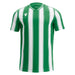 Green and white striped shirt on a white background
