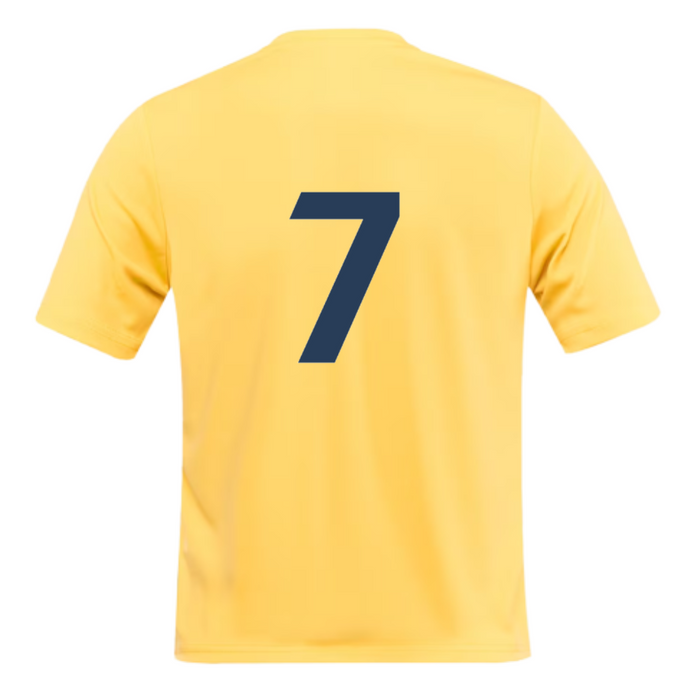 Oldbury United Away Shirt