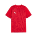 Puma Team CUP 25 Training Jersey in red