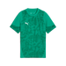 Puma Team CUP 25 Training Jersey in green