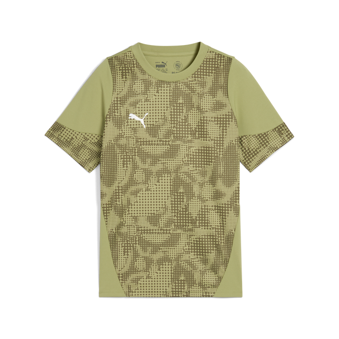 Puma Team CUP 25 Training Jersey in green