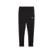 Puma Team CUP 25 Training Pants in black