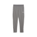 Puma Team CUP 25 Training Pants in grey