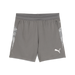 Puma Team CUP 25 Training Shorts in grey