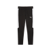 Puma Team EVOSTRIPE 25 Pants in black