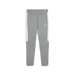 Puma Team EVOSTRIPE 25 Pants in grey
