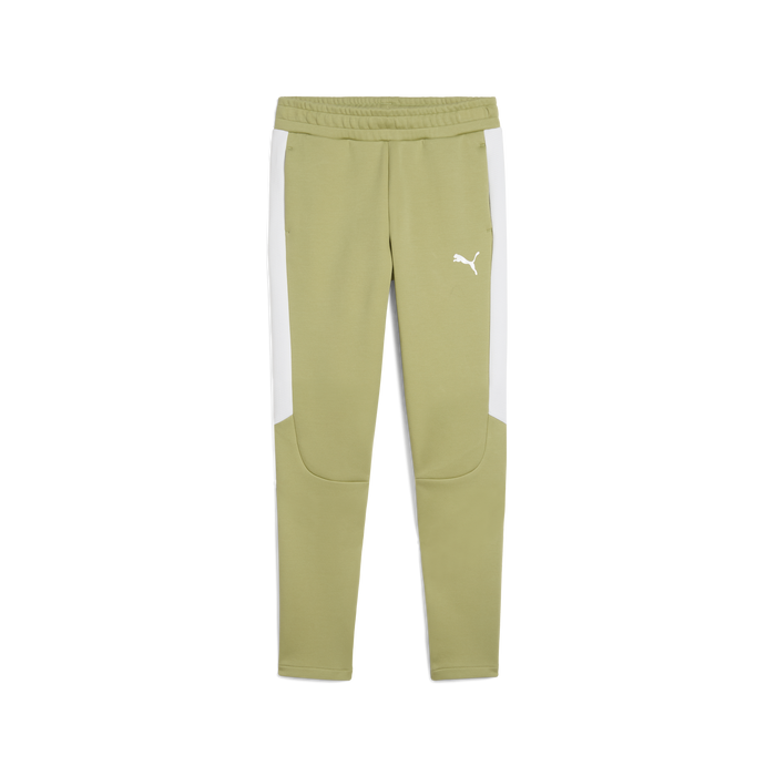 Puma Team EVOSTRIPE 25 Pants in green