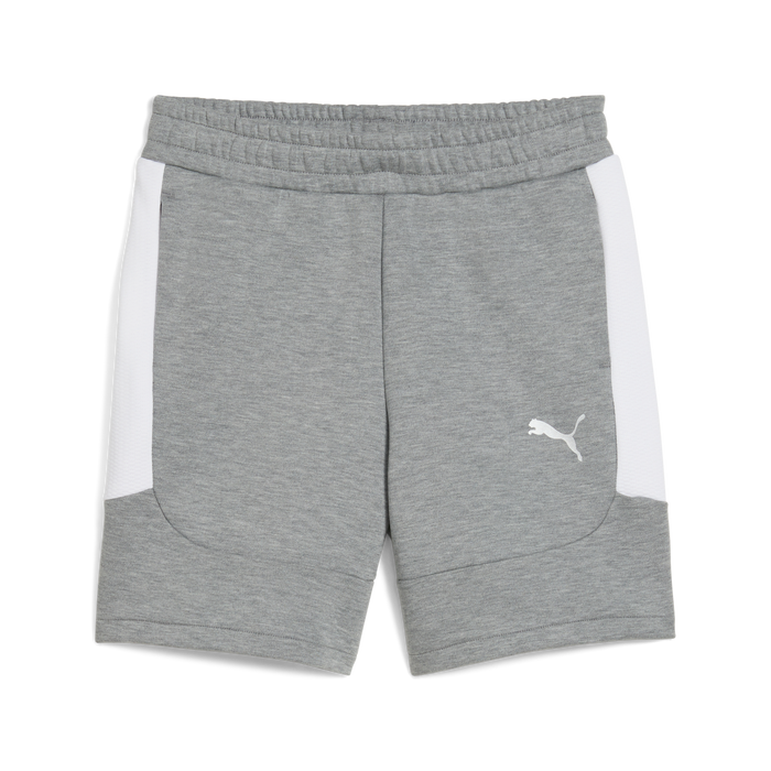Puma Team EVOSTRIPE 25 Shorts in grey