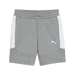 Puma Team EVOSTRIPE 25 Shorts in grey