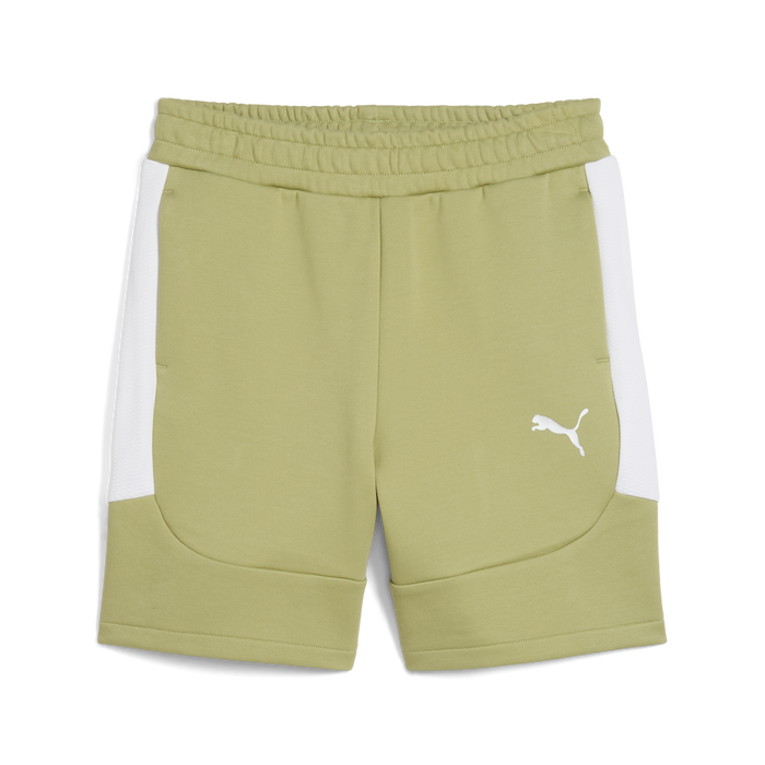 Puma Team EVOSTRIPE 25 Shorts in green
