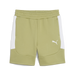 Puma Team EVOSTRIPE 25 Shorts in green