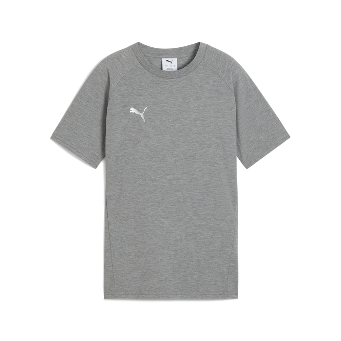 Puma Team EVOSTRIPE 25 Tee in grey