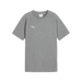 Puma Team EVOSTRIPE 25 Tee in grey