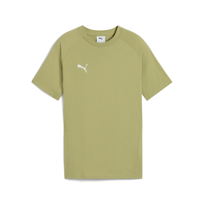 Puma Team EVOSTRIPE 25 Tee in green