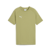 Puma Team EVOSTRIPE 25 Tee in green