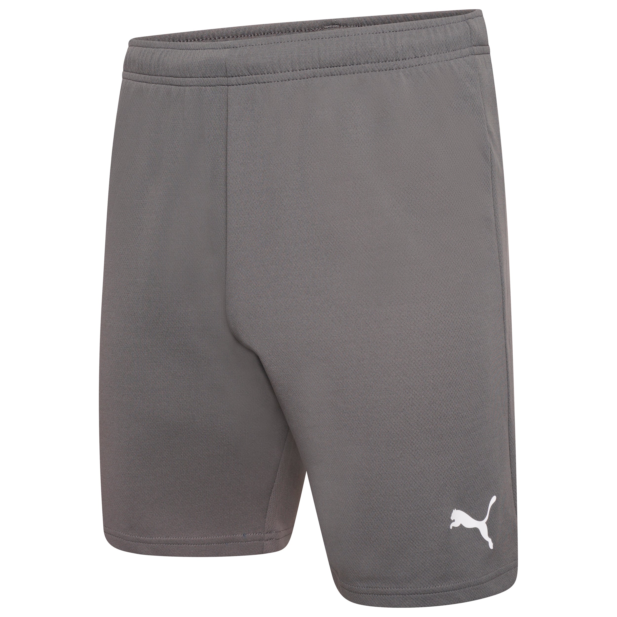 AO Puma Football Shorts