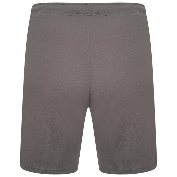 Puma Team Rise Shorts in Smoked Pearl/White
