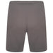 Puma Team Rise Shorts in Smoked Pearl/White