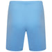 Puma Team Rise Shorts in Team Light Blue/White