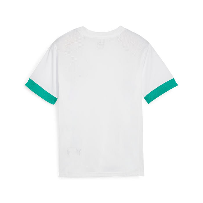 Puma Team GOAL 25 Matchday Jersey in white and green