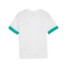Puma Team GOAL 25 Matchday Jersey in white and green