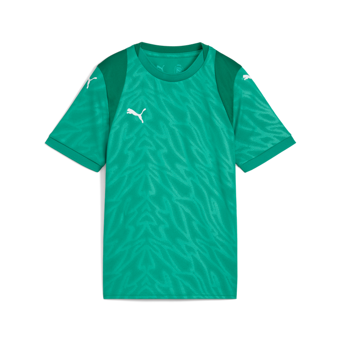Puma Team CUP 25 Jersey