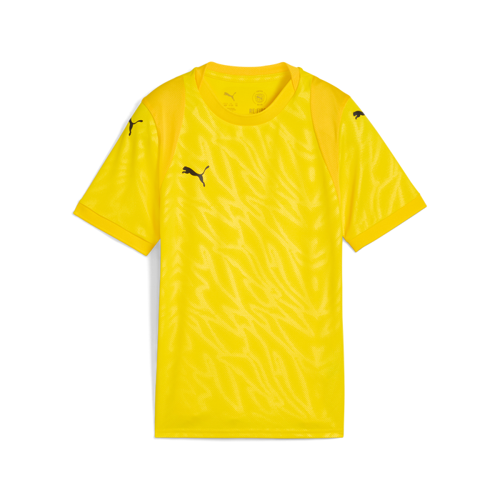 Puma Team CUP 25 Jersey