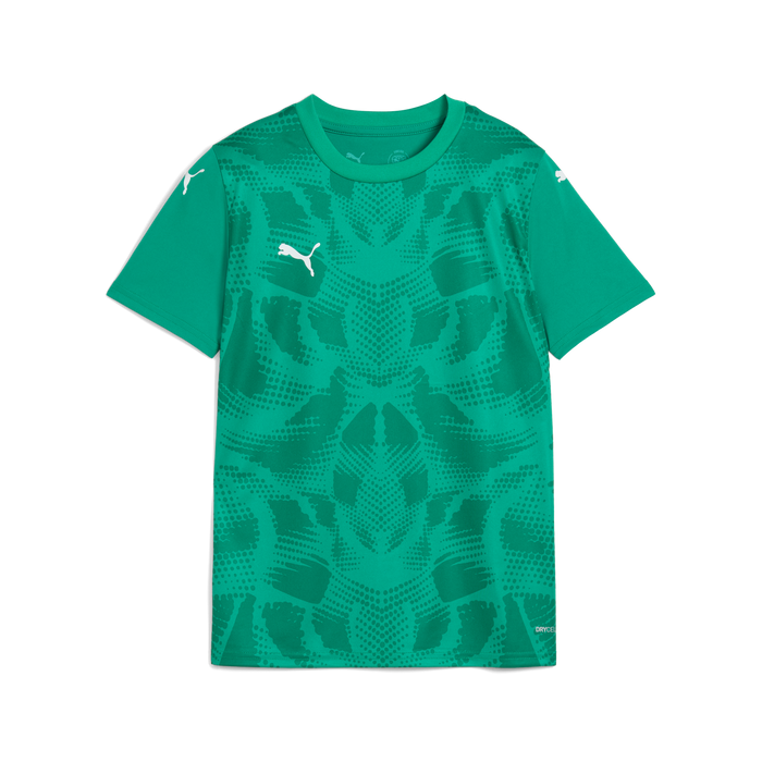 Puma Team ULTIMATE 25 Jersey in green