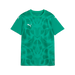 Puma Team ULTIMATE 25 Jersey in green
