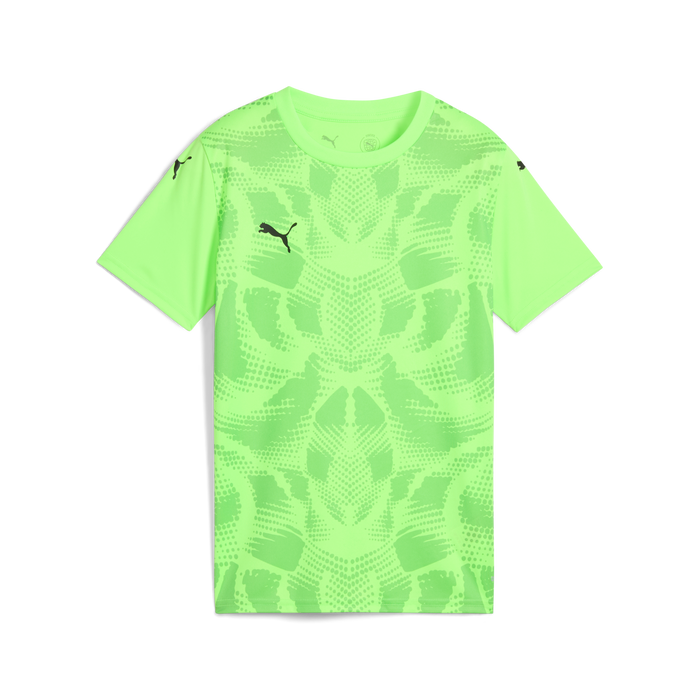 Puma Team ULTIMATE 25 Jersey in green