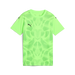 Puma Team ULTIMATE 25 Jersey in green