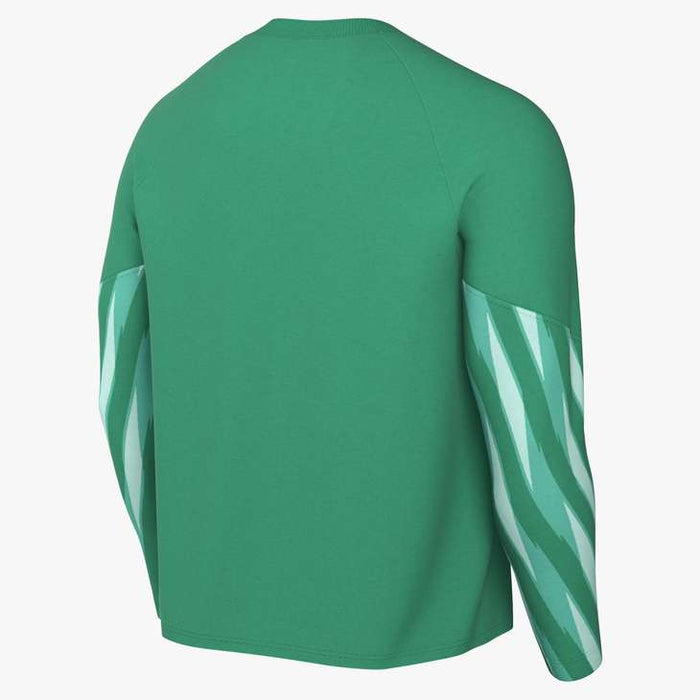 Nike Dri-Fit Park V Goalkeeper Long Sleeve Shirt in stadium green