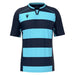 Blue and black striped sports jersey on a white background