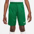 Nike Dri-fit Park III Short in pine green
