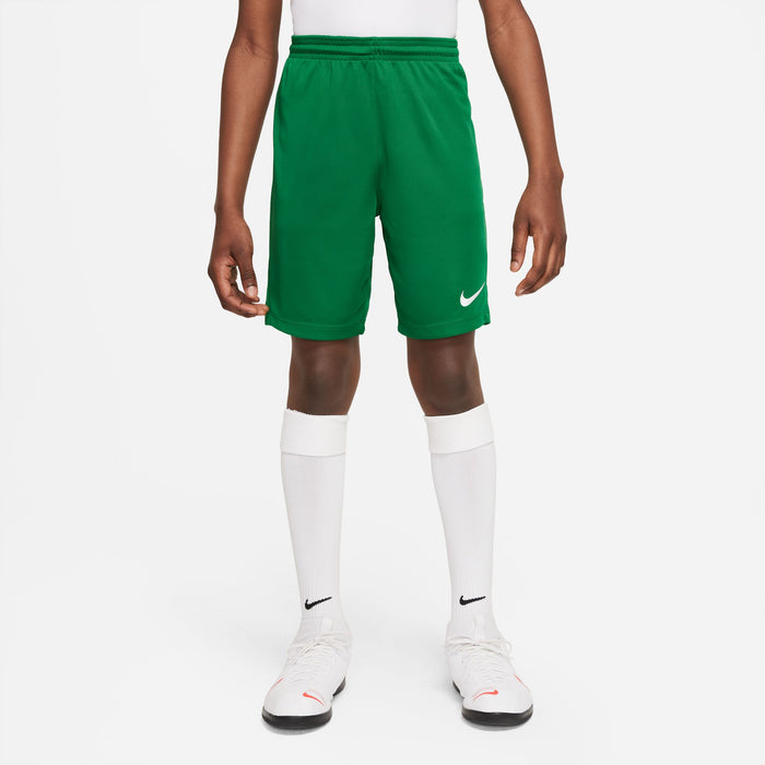 Nike Dri-fit Park III Short in pine green