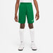 Nike Dri-fit Park III Short in pine green
