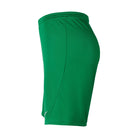 side of Nike Dri-fit Park III Short in pine green