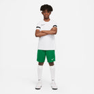 Nike Dri-fit Park III Short in pine green