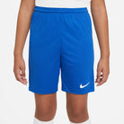 Nike Dri-fit Park III Short in royal blue
