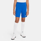 Nike Dri-fit Park III Short in royal blue