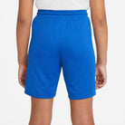 back of Nike Dri-fit Park III Short in royal blue