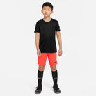 Nike Dri-fit Park III Short in bright crimson