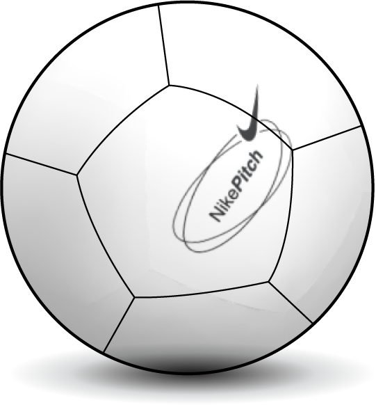 Nike Pitch Team 25 Ball