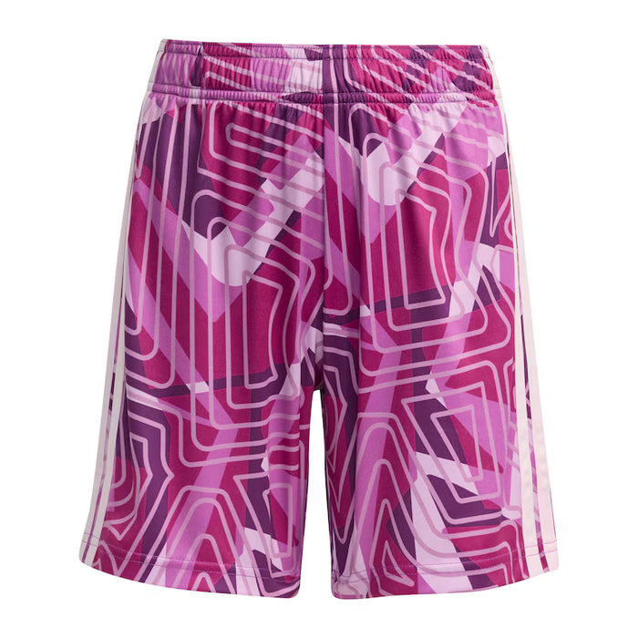 Pink and purple patterned shorts on a white background