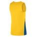 Nike Basketball Jersey in Tour Yellow/Royal Blue
