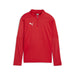 Puma Team Final Training 1/4 Zip Top in red