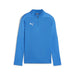 Puma Team Final Training 1/4 Zip Top in blue