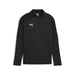 Puma Team Final Training 1/4 Zip Top in black