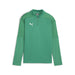 Puma Team Final Training 1/4 Zip Top in green